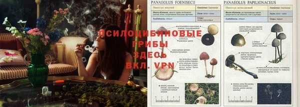 мяу мяу кристалл Алексеевка